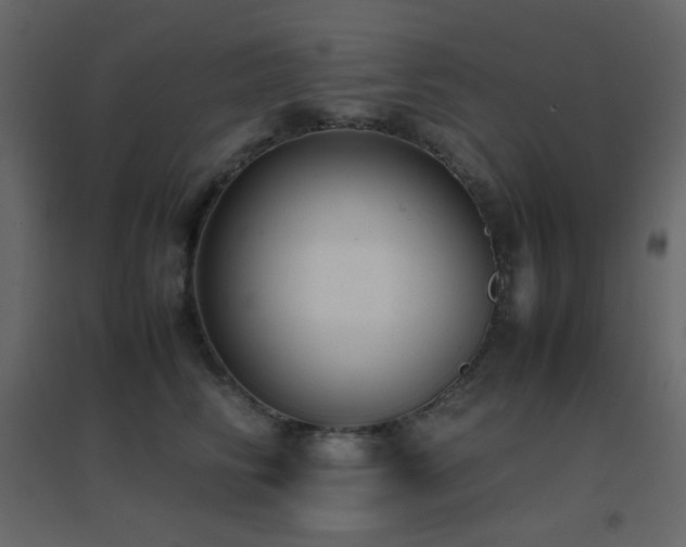 X0000096650710200802051155