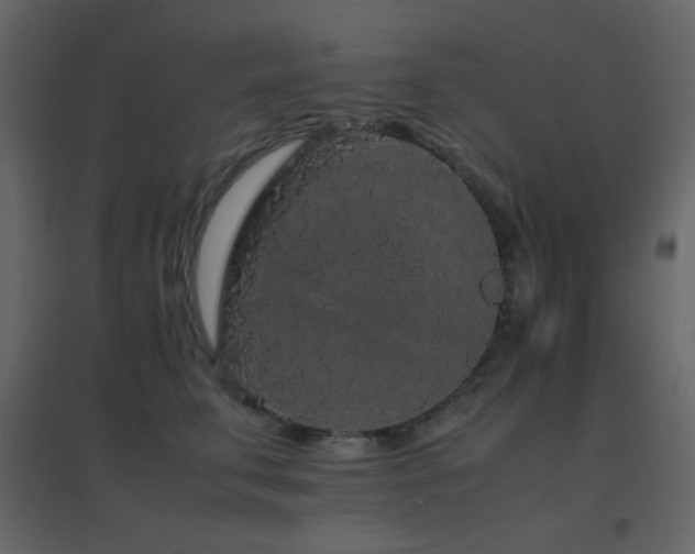 X0000096650711200802051155