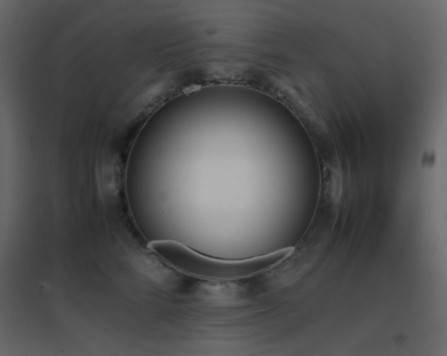 X0000096650712200802051155