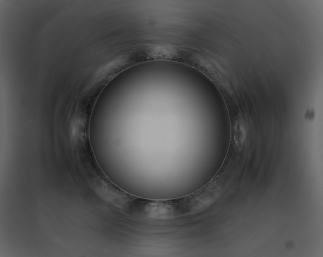 X0000096650714200802051155