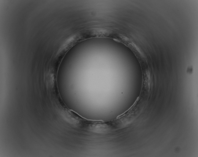X0000096650716200802051155