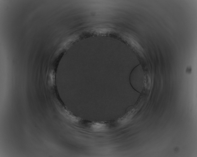 X0000096650718200802051155