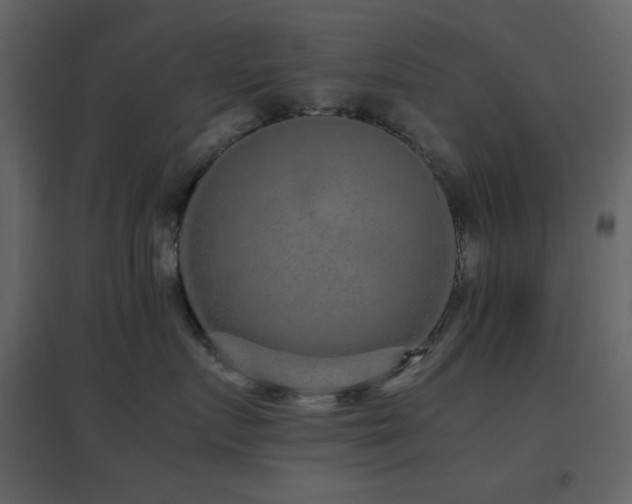X0000096650719200802051155
