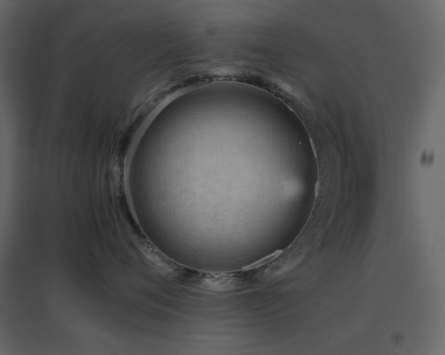 X0000096650720200802051155