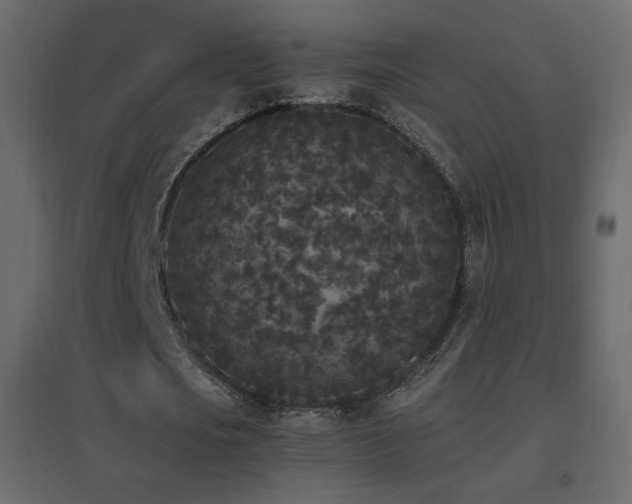 X0000096650721200802051154