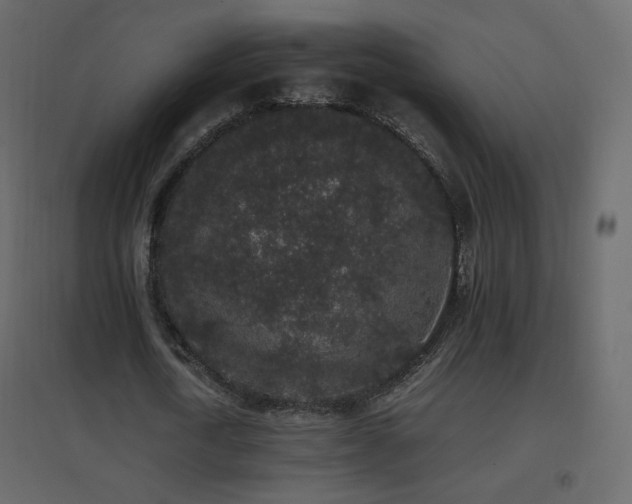 X0000096650722200802051154