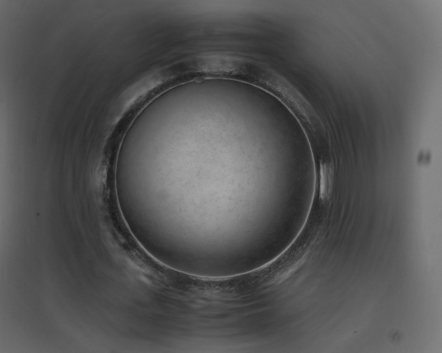 X0000096650723200802051154