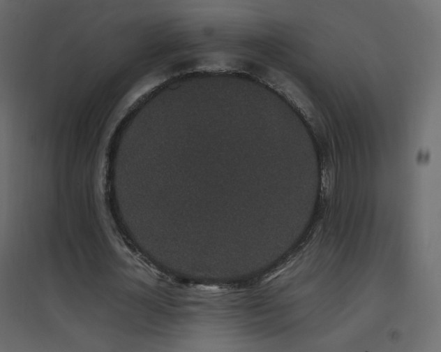 X0000096650724200802051154