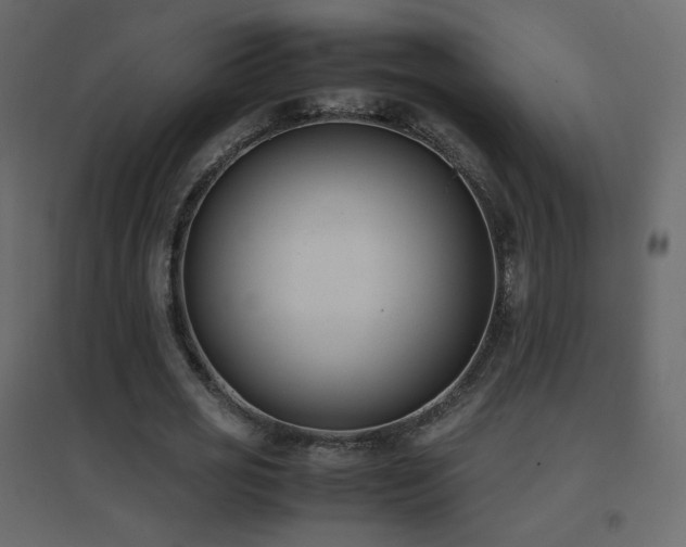 X0000096650725200802051154