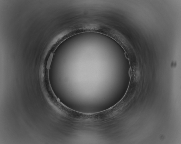 X0000096650726200802051154