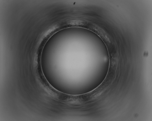 X0000096650727200802051154