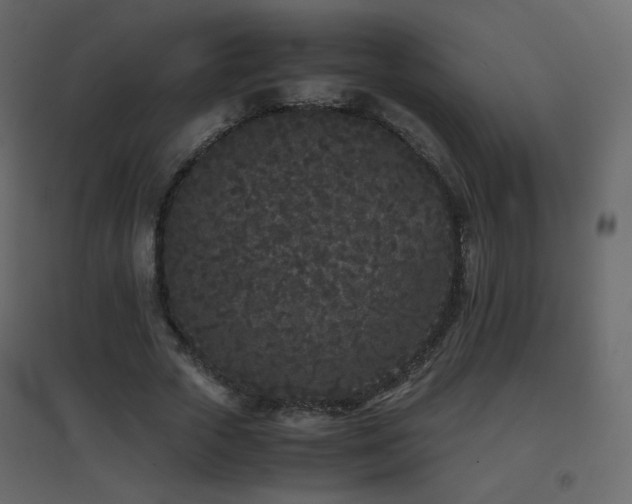 X0000096650729200802051154