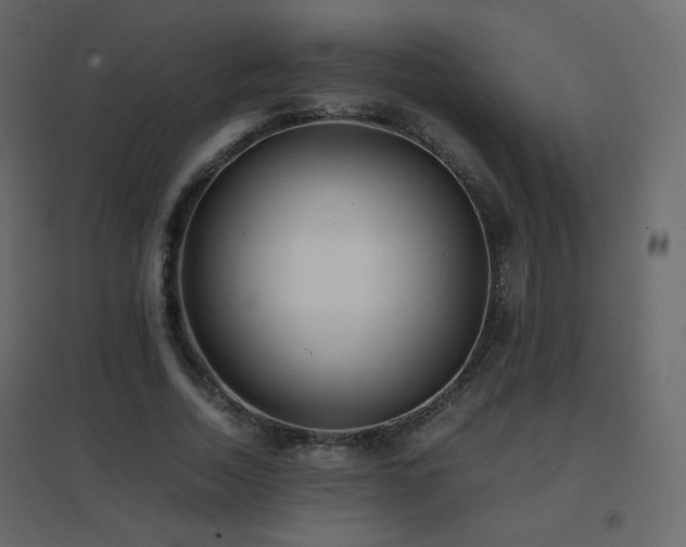 X0000096650730200802051154