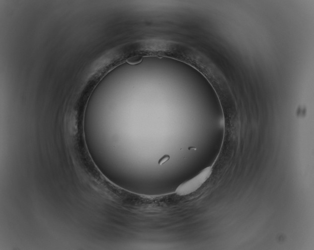 X0000096650731200802051154