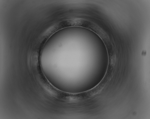 X0000096650733200802051154