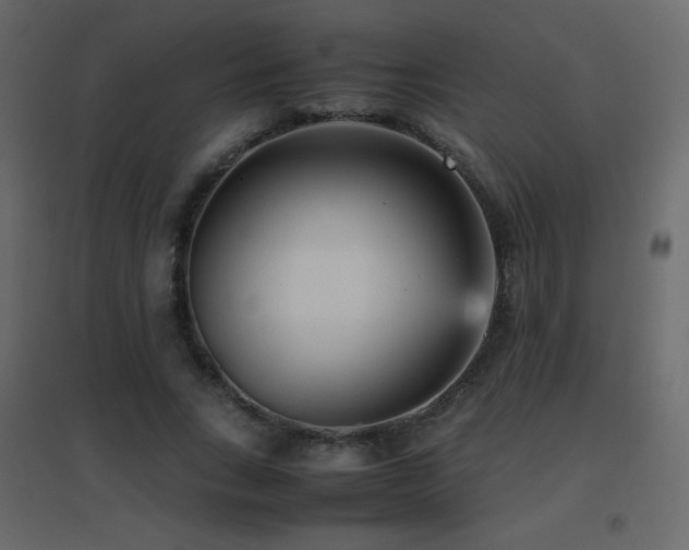 X0000096650735200802051154