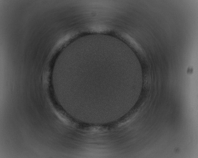X0000096650736200802051154