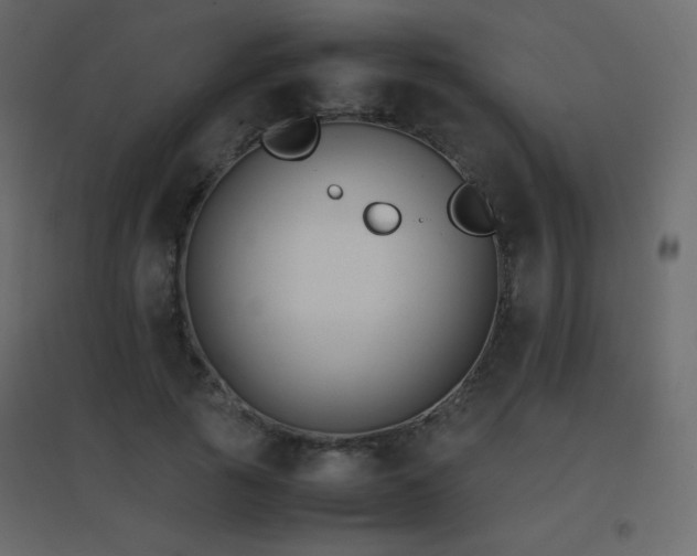 X0000096650737200802051154