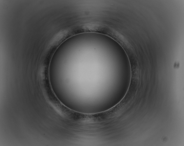 X0000096650738200802051154