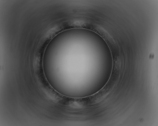 X0000096650739200802051154