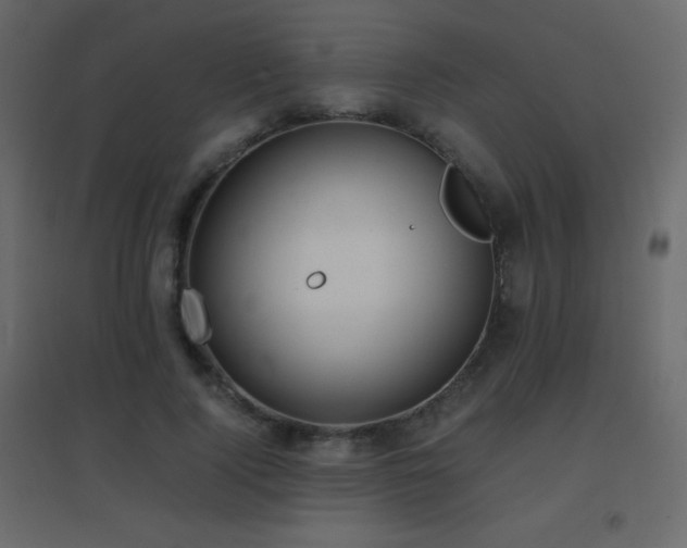 X0000096650740200802051154