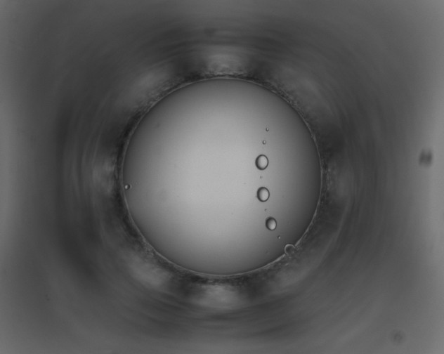 X0000096650741200802051154