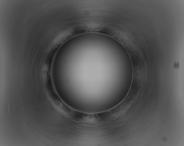 X0000096650742200802051154