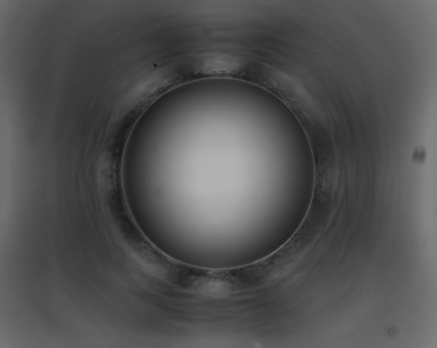 X0000096650743200802051154