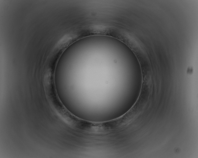 X0000096650744200802051154