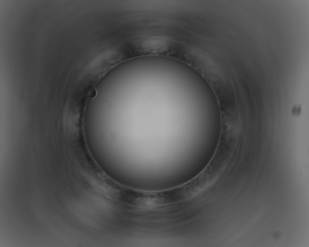 X0000096650745200802051154