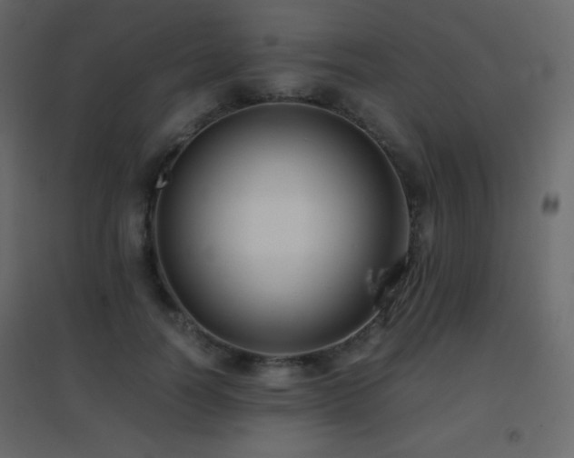 X0000096650746200802051154