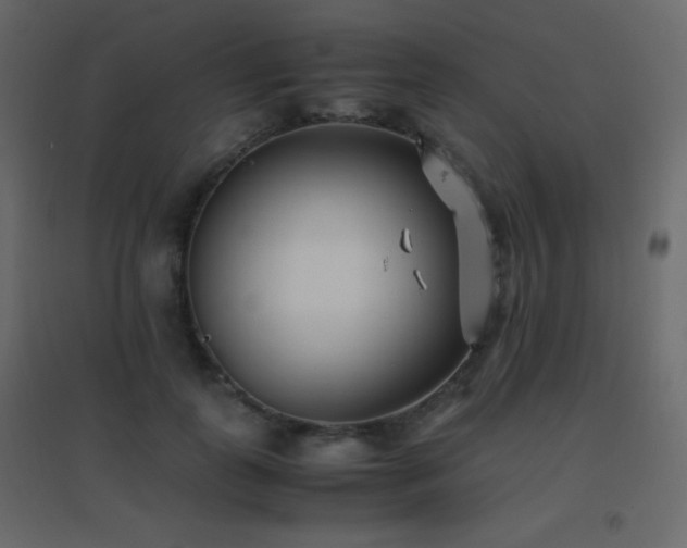 X0000096650747200802051154