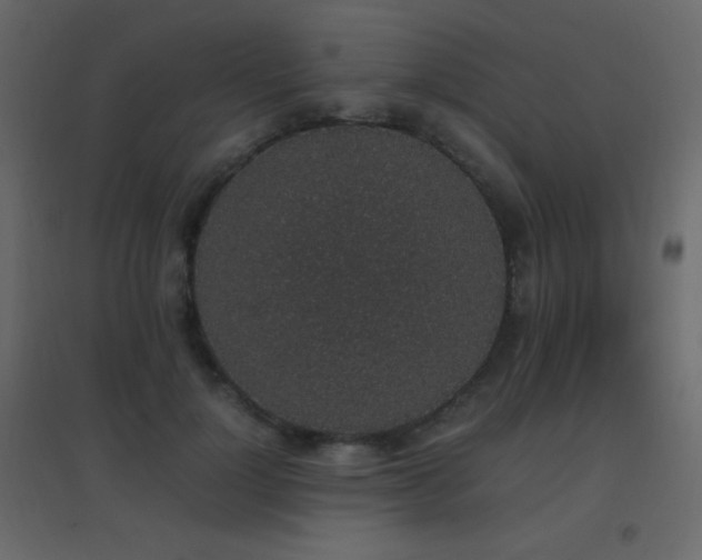 X0000096650748200802051154