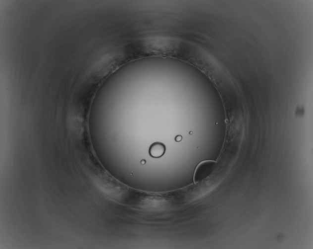 X0000096650749200802051154