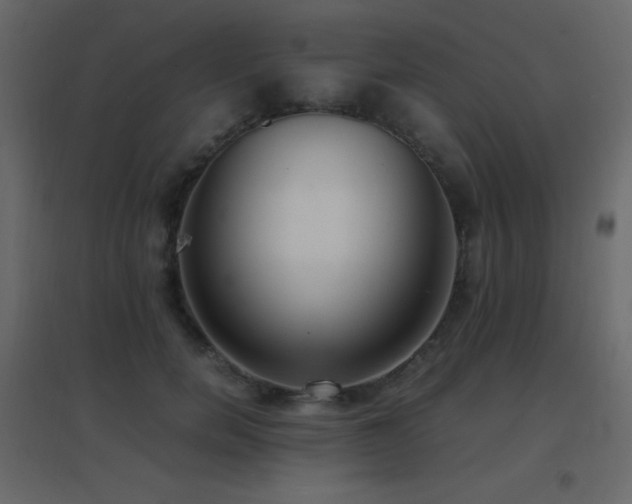 X0000096650750200802051154