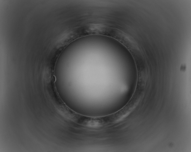 X0000096650751200802051154