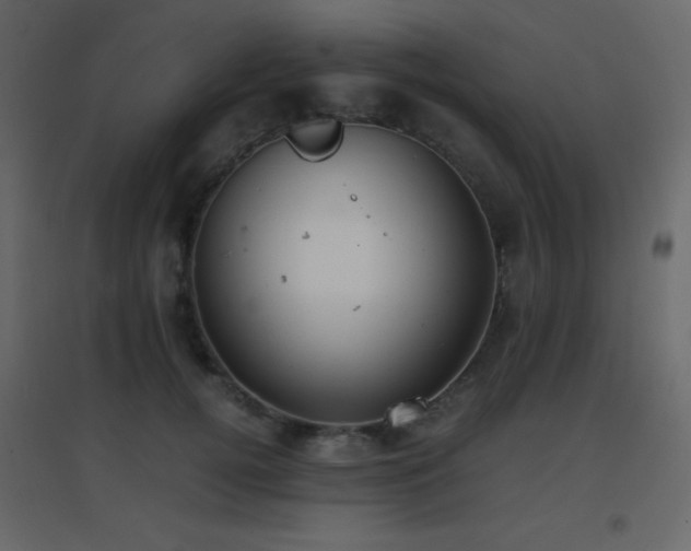 X0000096650752200802051154