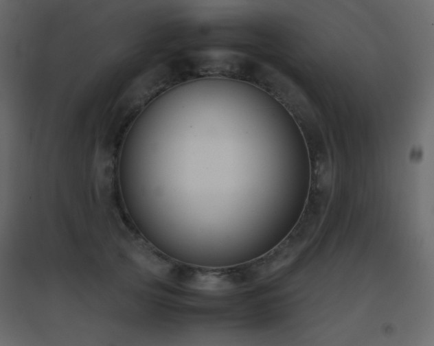 X0000096650753200802051154