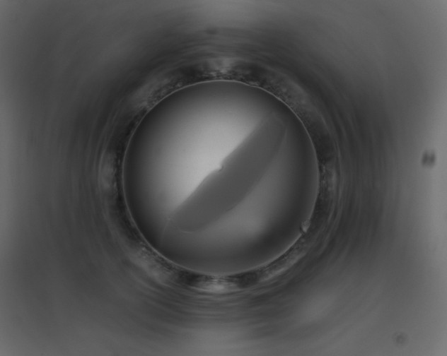 X0000096650754200802051154