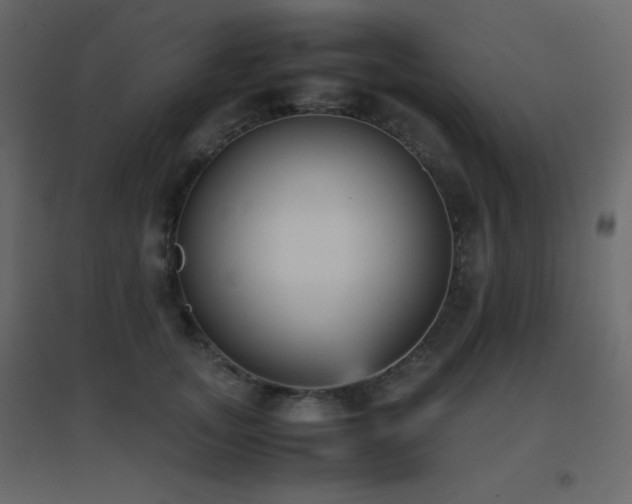 X0000096650755200802051154