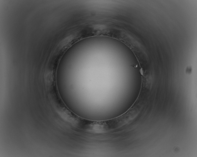 X0000096650756200802051154