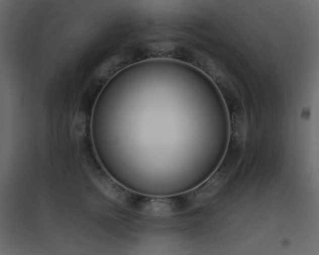X0000096650758200802051154