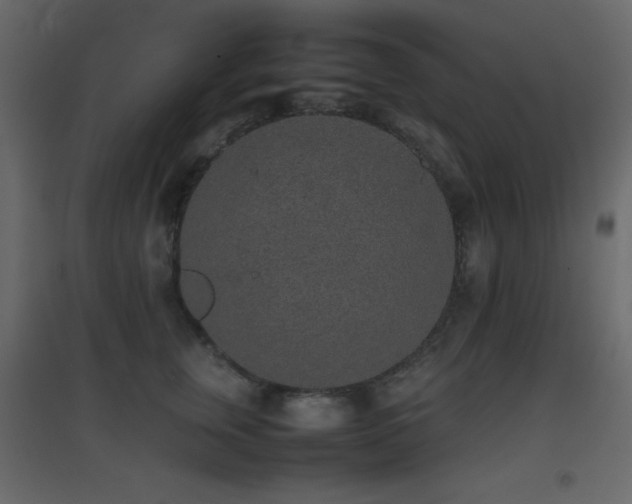 X0000096650759200802051154