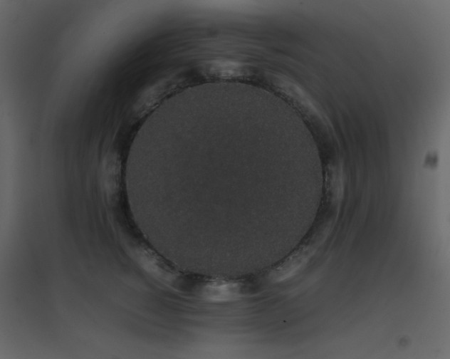 X0000096650760200802051154
