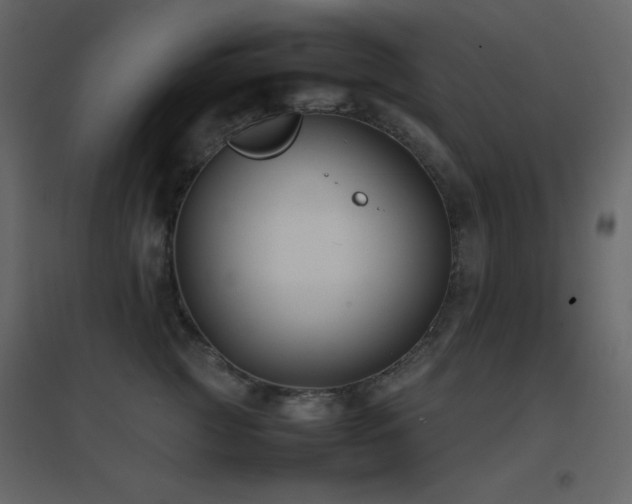 X0000096650761200802051154