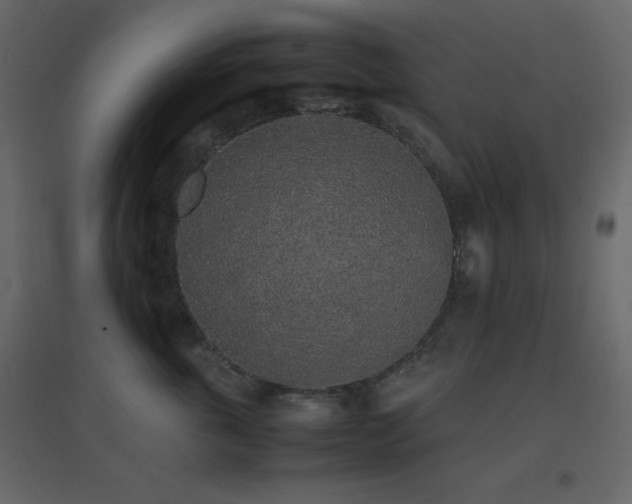 X0000096650763200802051154