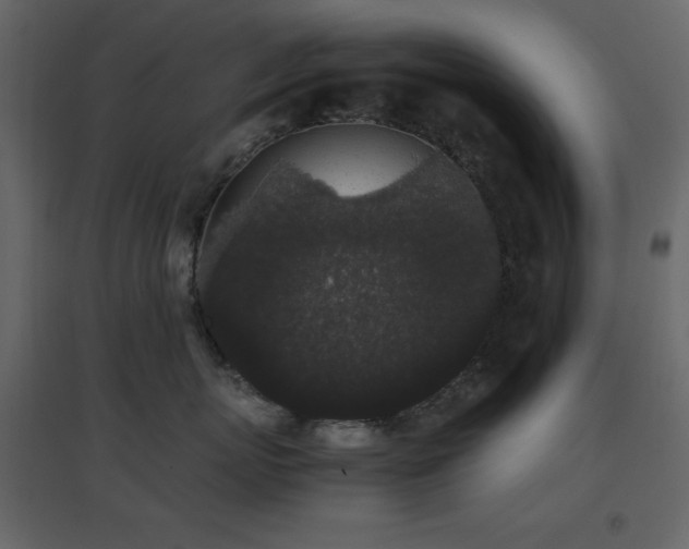 X0000096650767200802051155