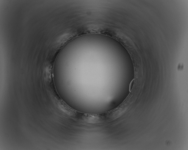 X0000096650768200802051155