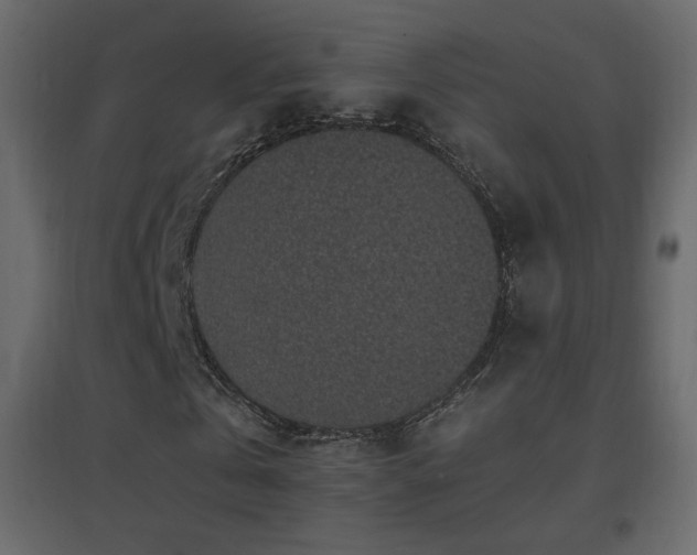 X0000096650769200802051154