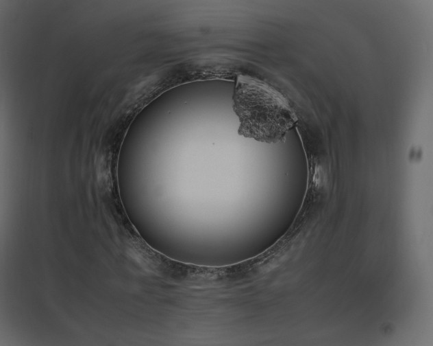 X0000096650771200802051154